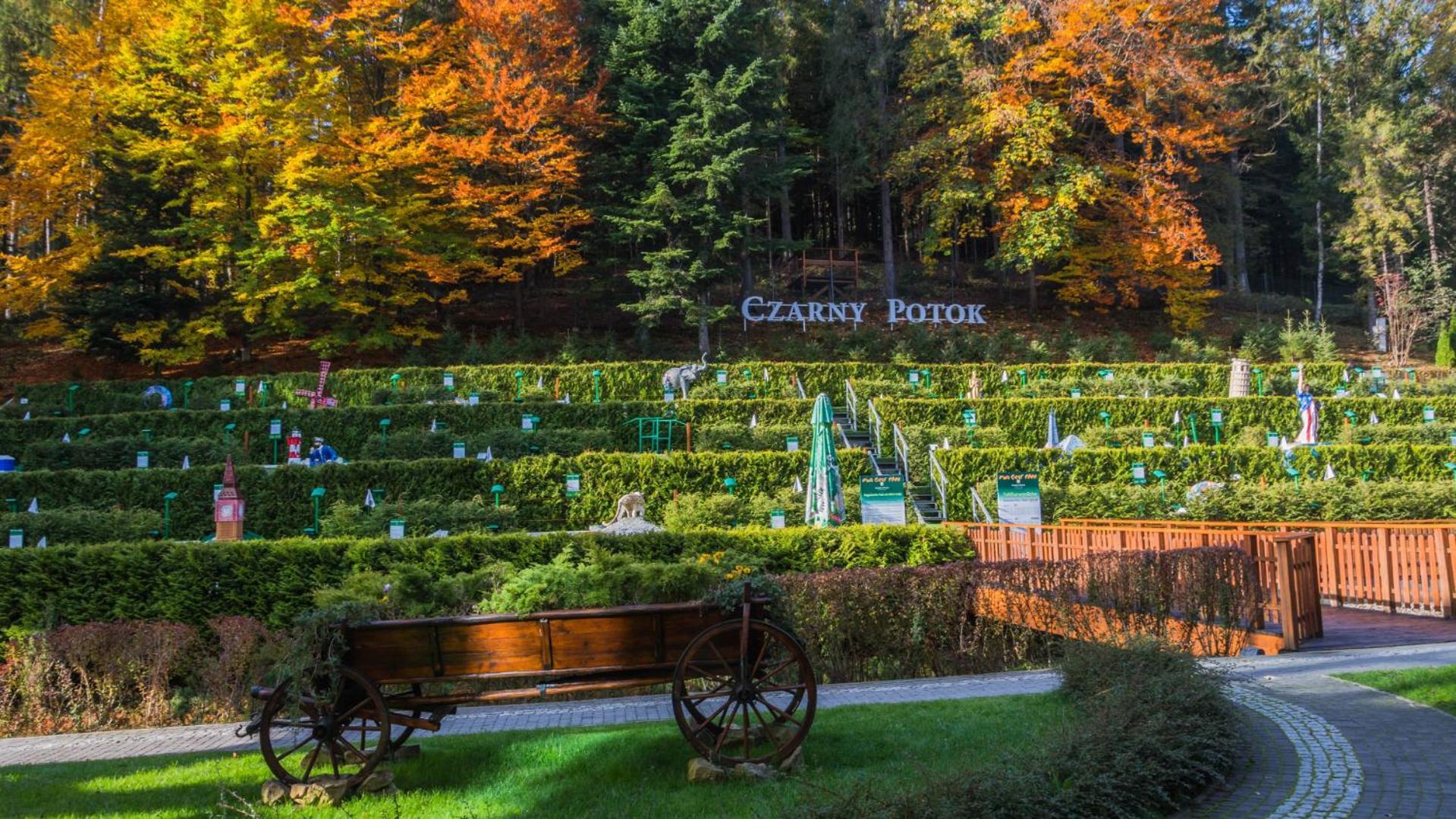 Hotel Czarny Potok Resort Spa & Conference Krynica-Zdrój Esterno foto